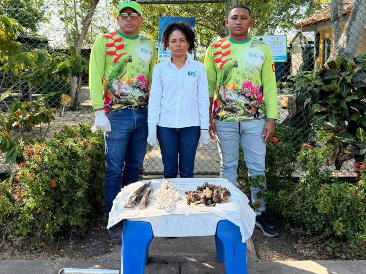 A cuidar de nuestras especies silvestres: ¡Que tu Semana Santa no sea su Viacrucis!