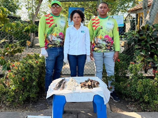 A cuidar de nuestras especies silvestres: ¡Que tu Semana Santa no sea su Viacrucis!