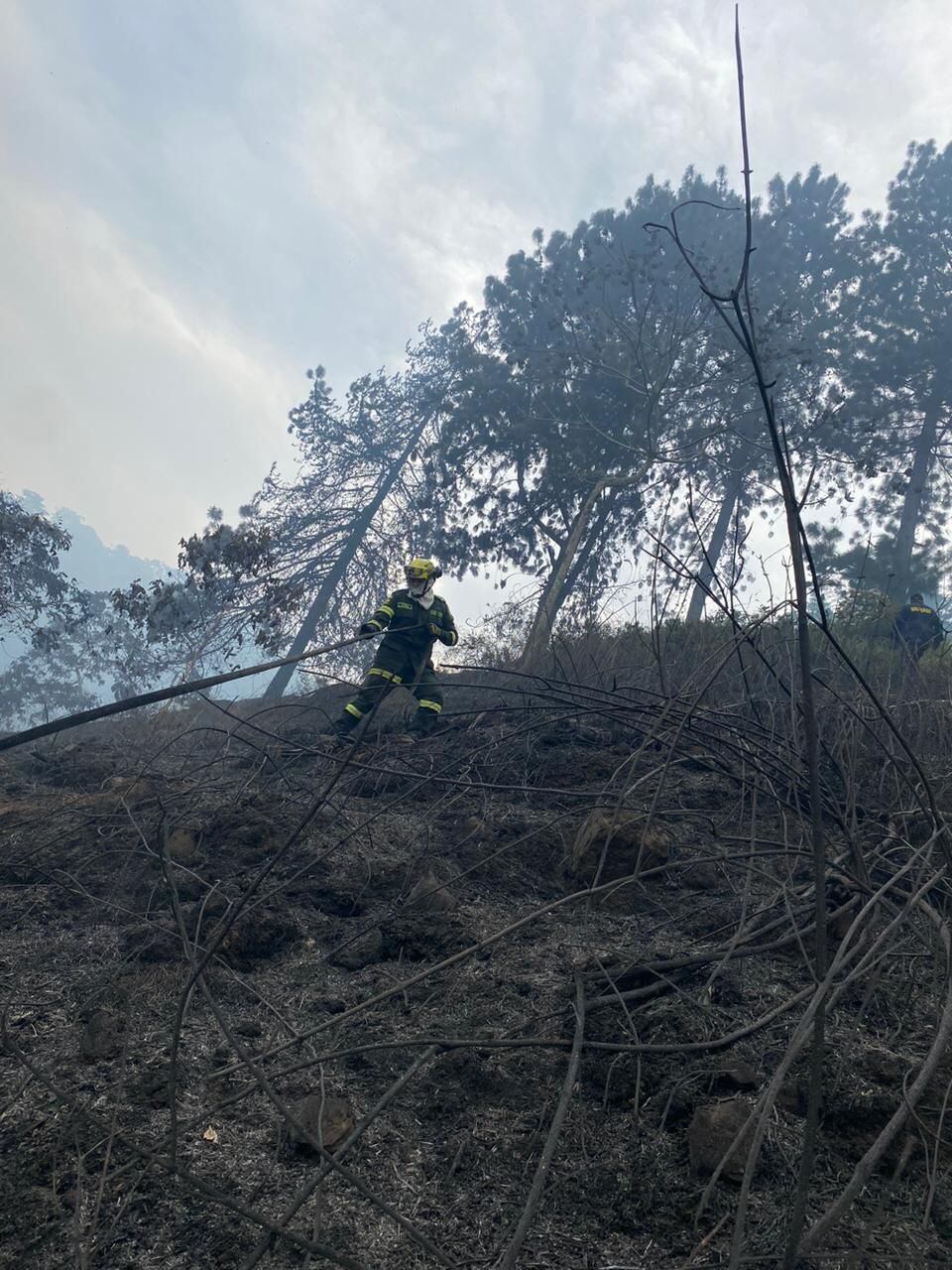 Incendio forestal en Piedecuesta quemó 10 hectáreas de terreno.