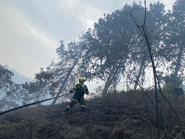 Incendio forestal en Piedecuesta quemó 10 hectáreas de terreno.