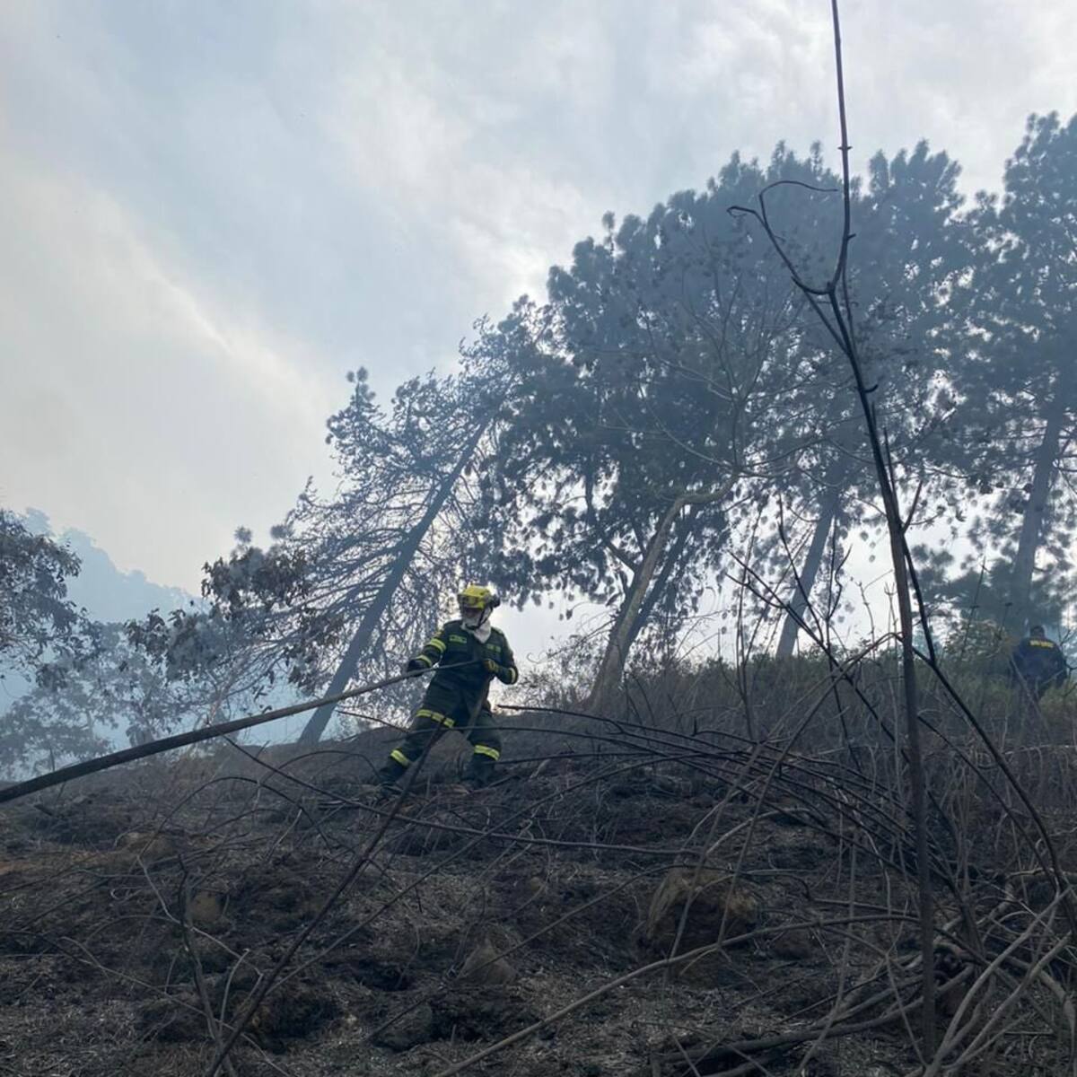 Cerca de 10 hectáreas de terreno quemadas en zona veredal de Piedecuesta