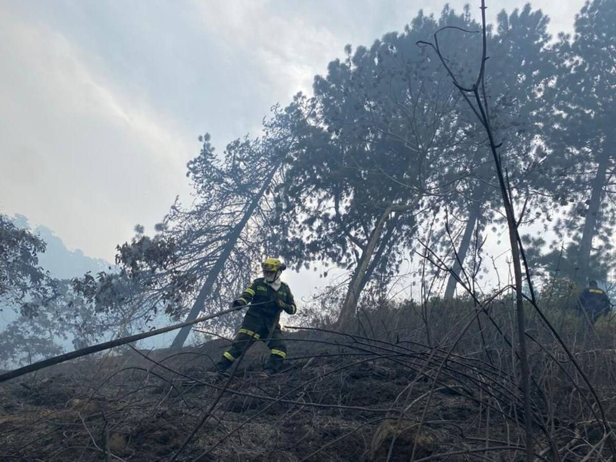 Cerca de 10 hectáreas de terreno quemadas en zona veredal de Piedecuesta
