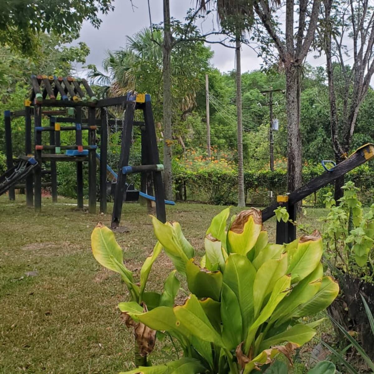 Aumenta oferta de turismo rural en el Tolima