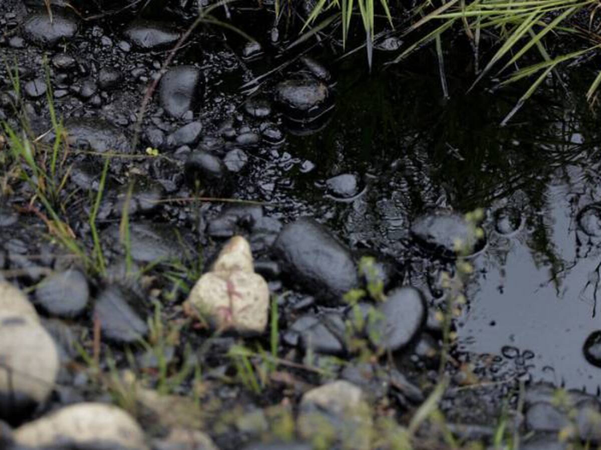 Ecopetrol busca detener mancha de crudo tras atentado al OTA