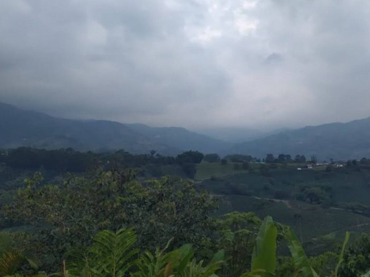 Jueves 11 de noviembre, las principales noticias de Armenia y Quindío