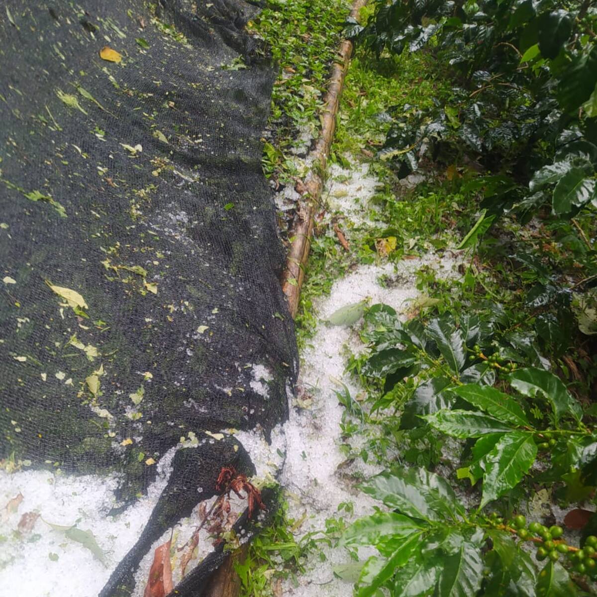 Fuertes lluvias no dan tregua en Santander, hubo hasta granizadas