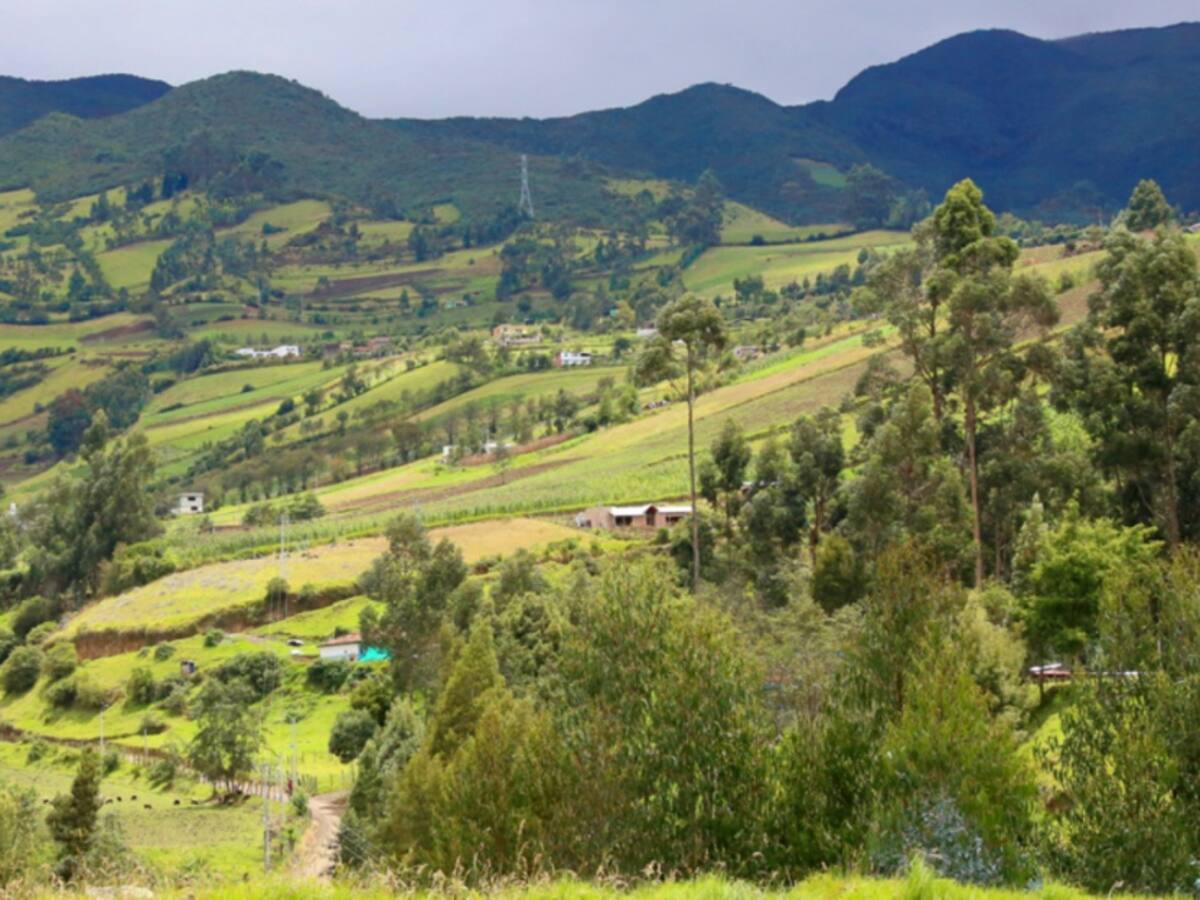 Gobernador dice que el campo se está quedando solo en Boyacà