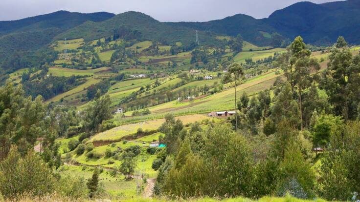 Nuevo modelo de negocio para el agro