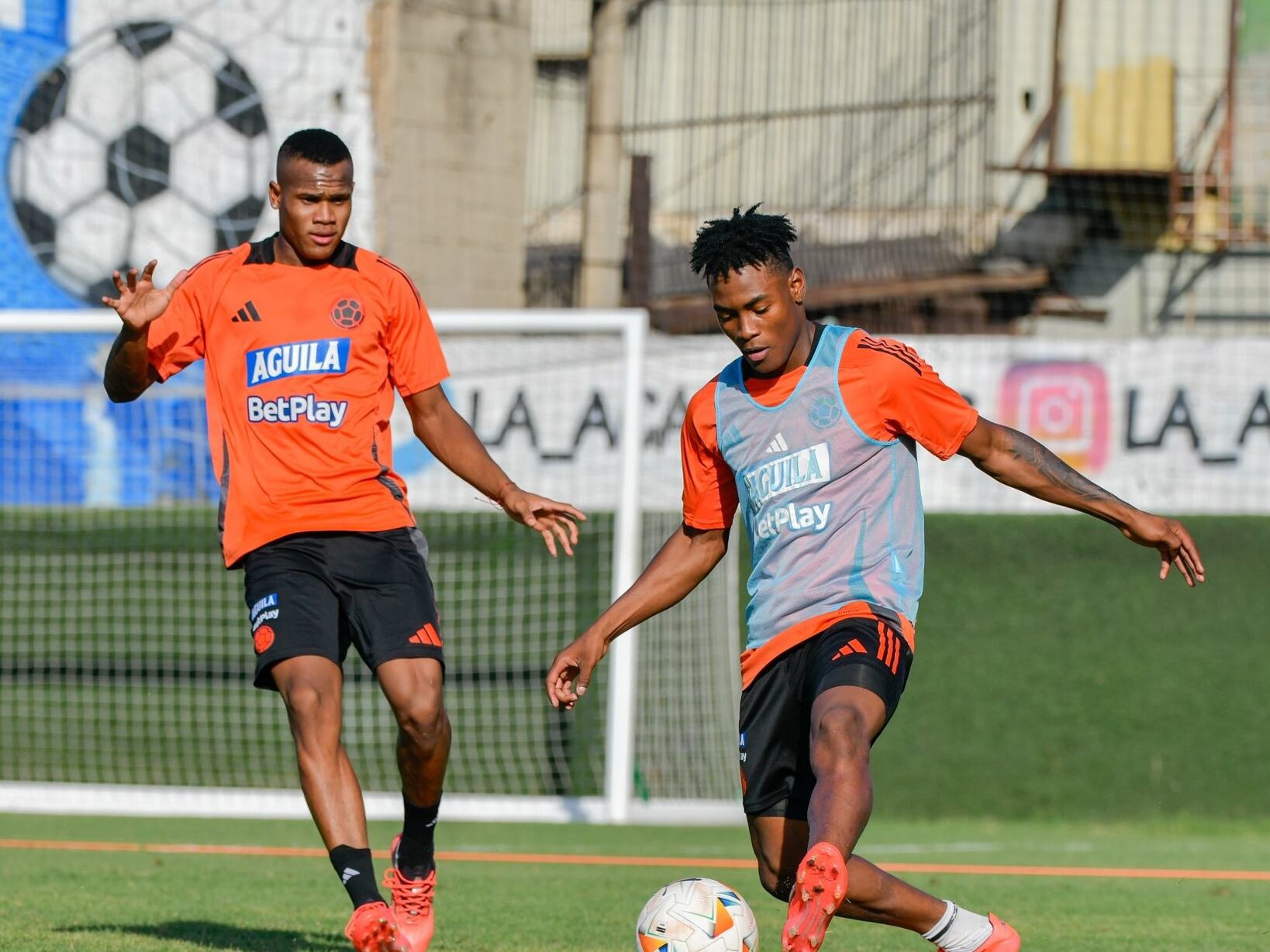 Selección Colombia Sub-20 / FCF