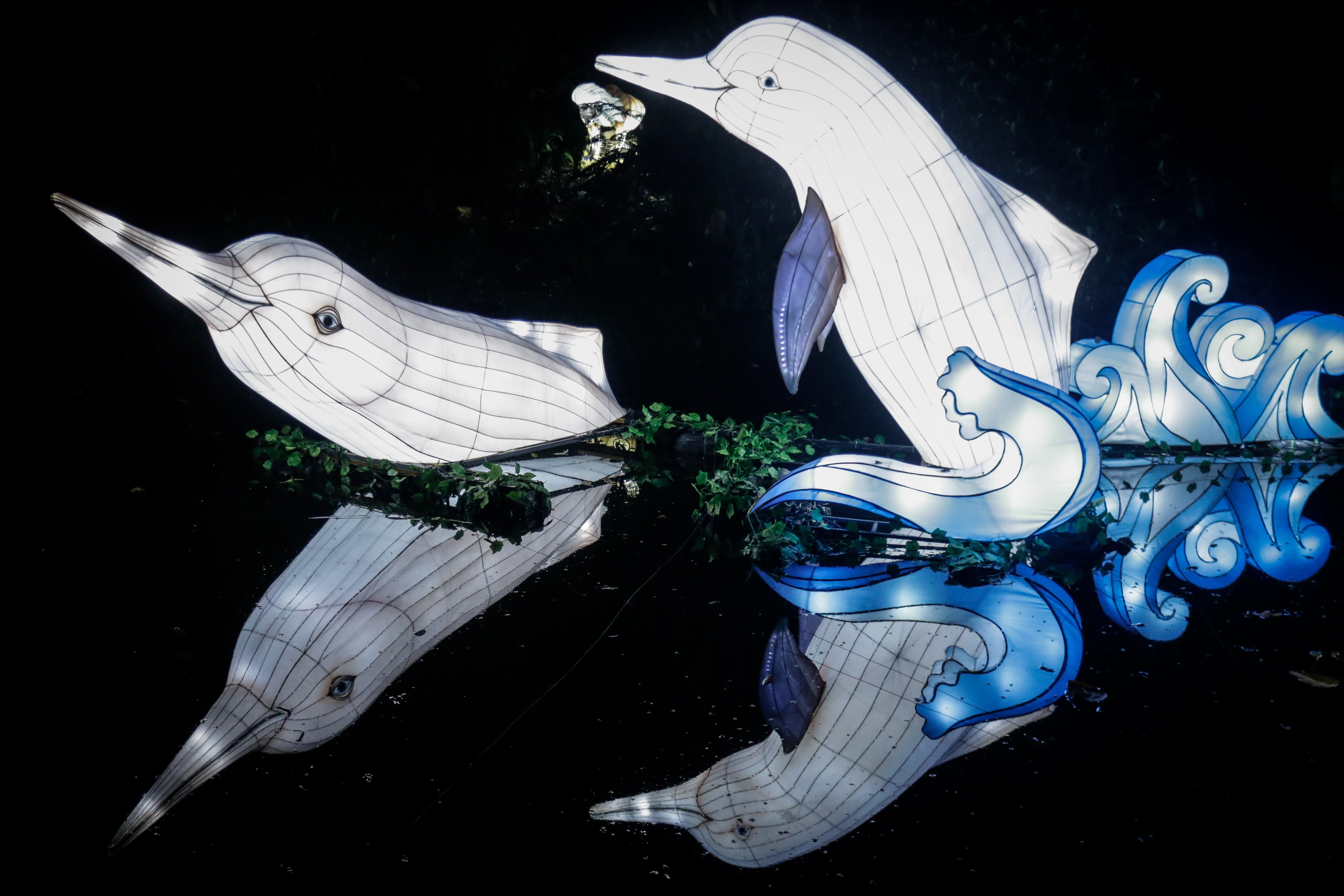 Festival Brilla Colombia (2019) en el Jardín Botánico de Bogotá. Foto: Colprensa.