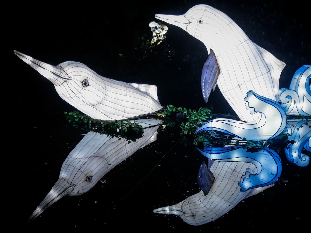 Regresa el festival de luces del Jardín Botánico 2023: precio de boletas, horarios y más