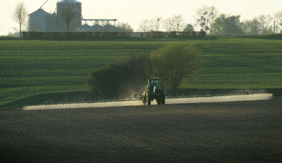 Aspersión de cultivos con glifosato. 