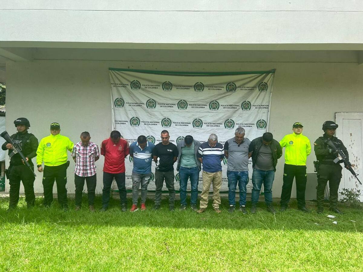 Cae banda que taló 76 mil árboles en Palmira: disidencias Farc se lucraban con la deforestación