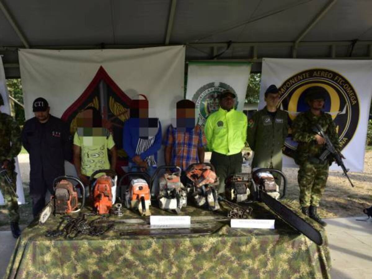 Golpe a deforestadores en la Macarena y Tinigua en el Meta