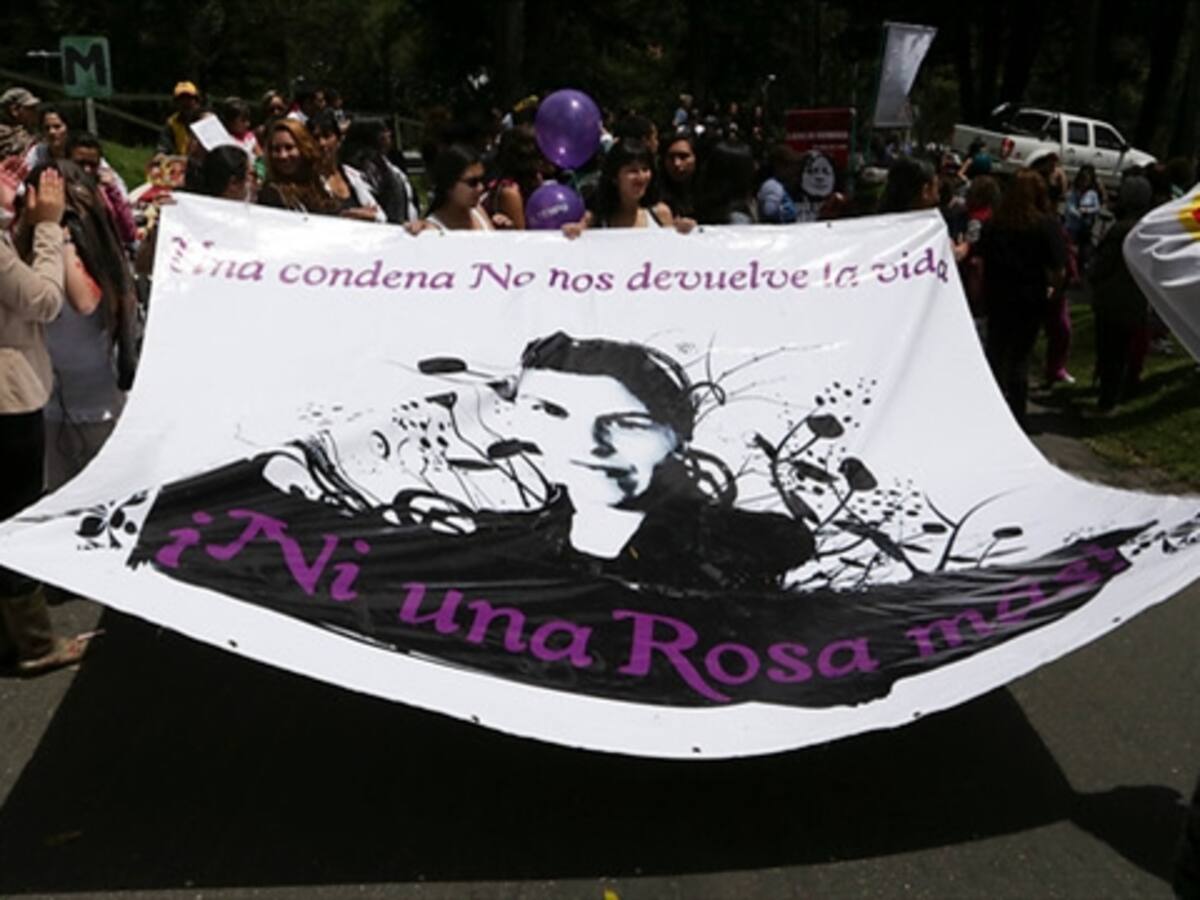 Familia de Rosa Elvira Cely demandará al Estado en la CIDH