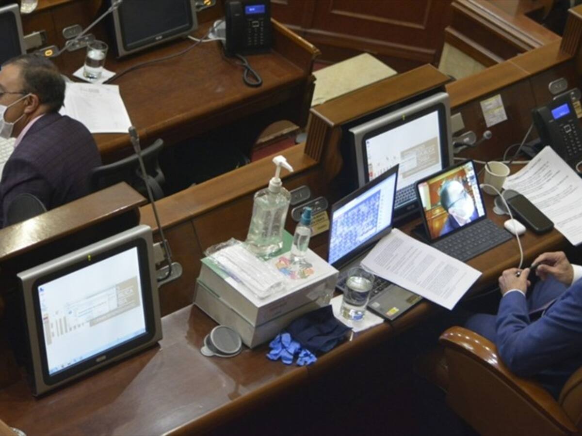 ¿Por qué denunciaron a los representantes que sesionaron presencialmente?