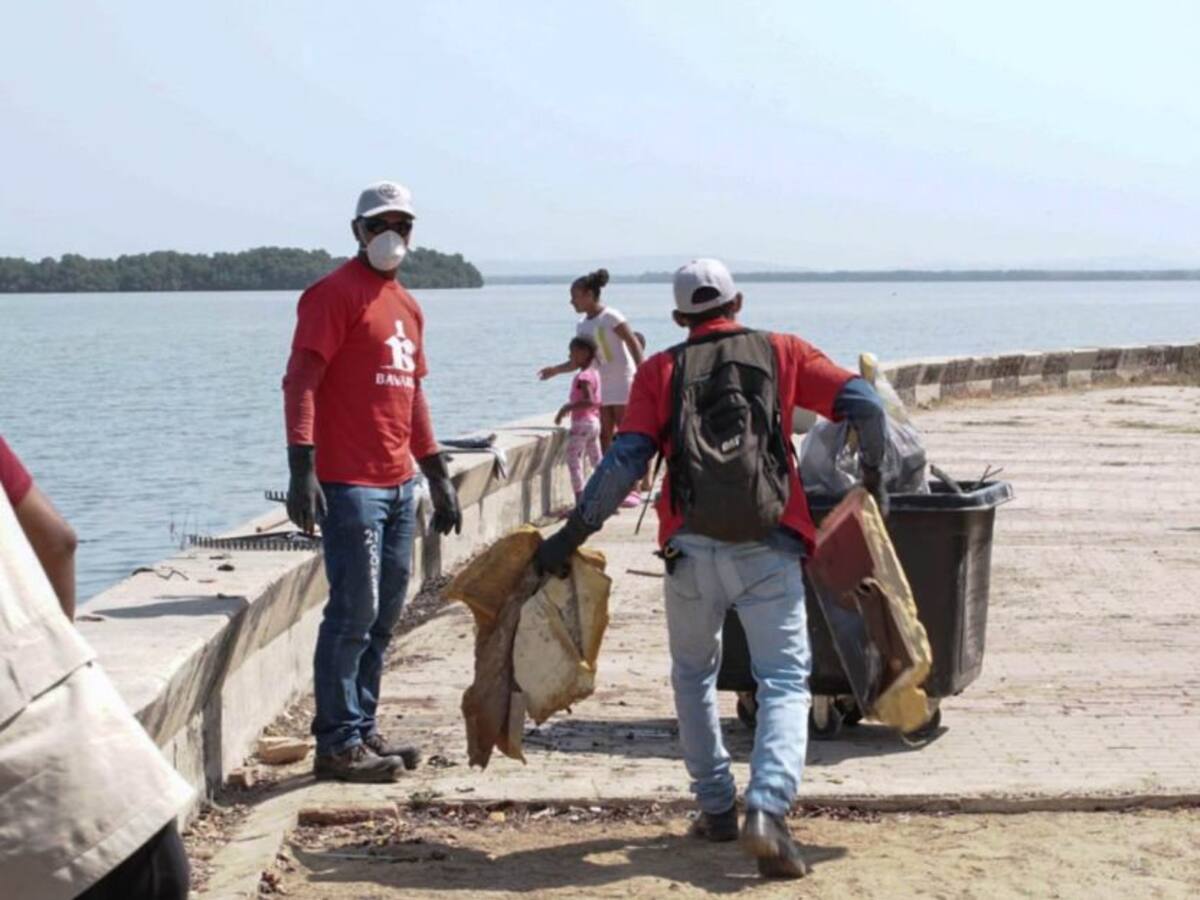 En día mundial del agua, realizan actividades en la Ciénaga de la Virgen