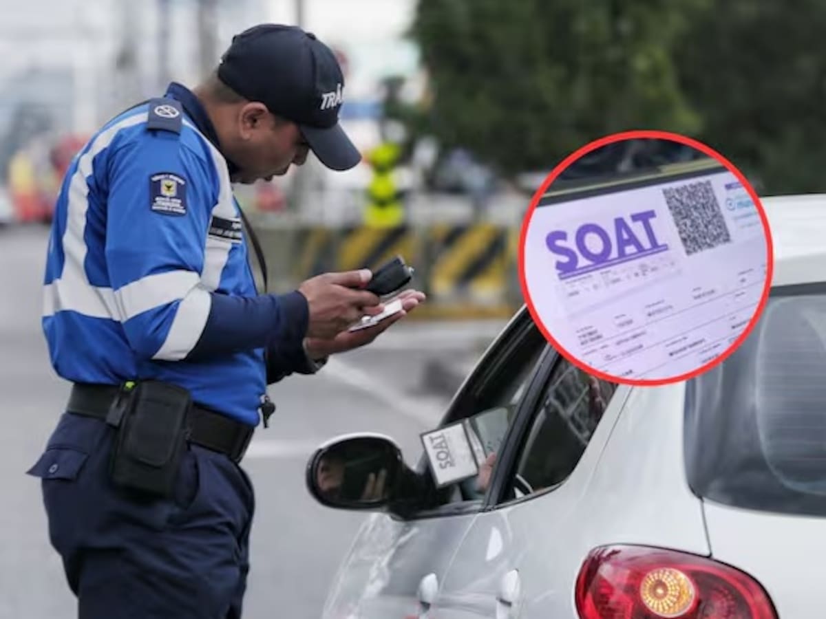 ¿Cuánto vale el SOAT para carro 2024? Lista completa de precios y compañías que lo expiden