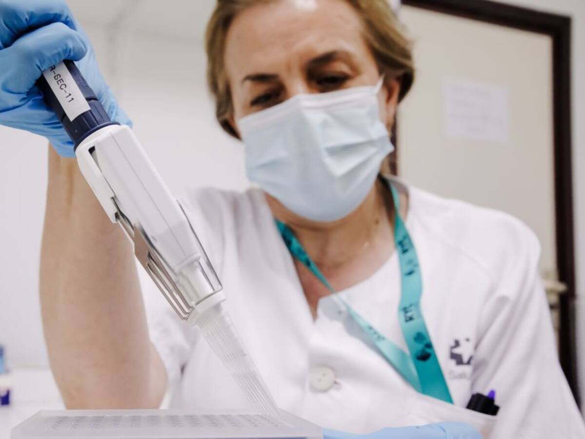 OMS considera que viruela del mono no se convertiría en pandemia