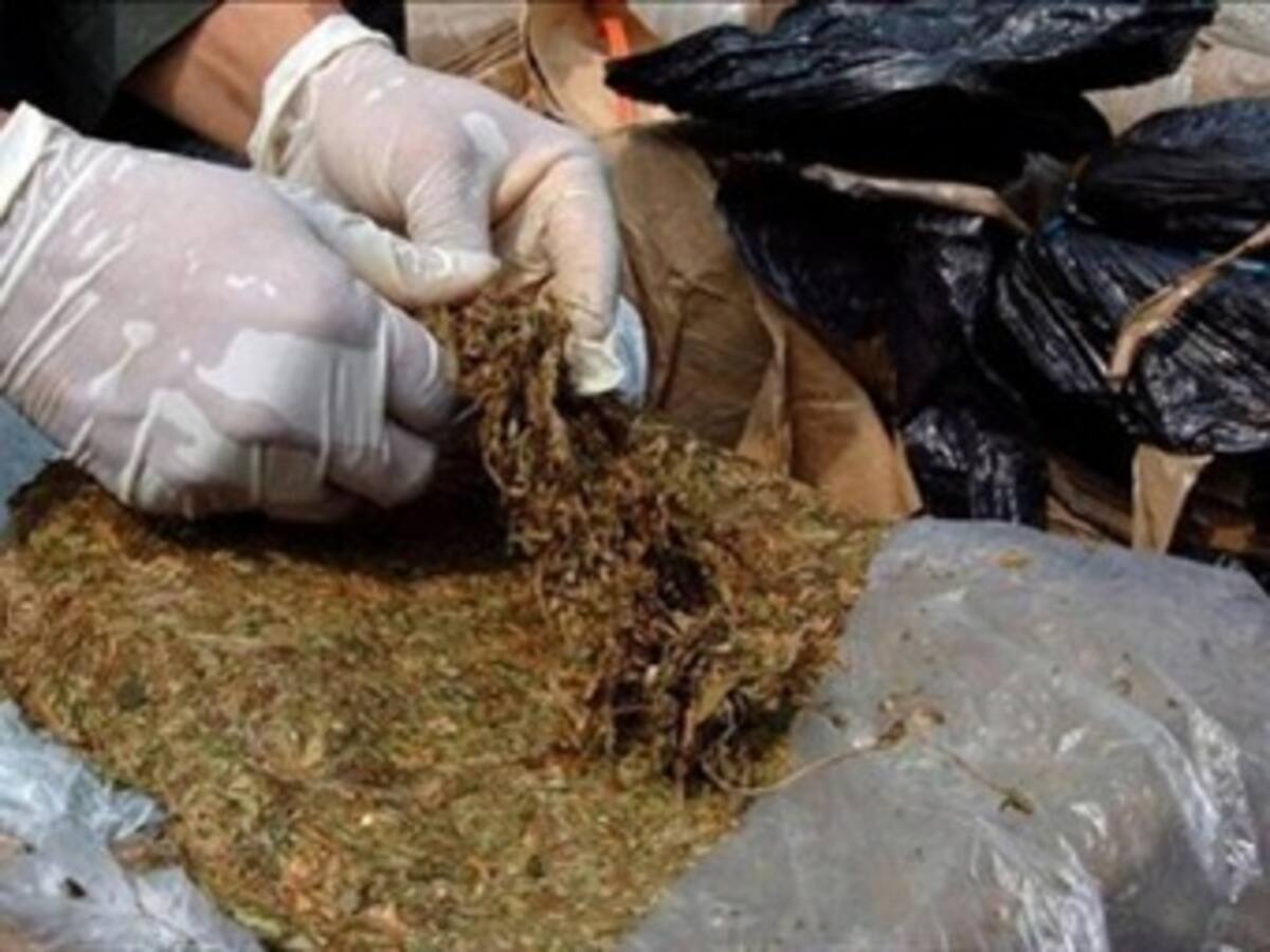 Incautan 300 kilos de marihuana en la frontera con Venezuela