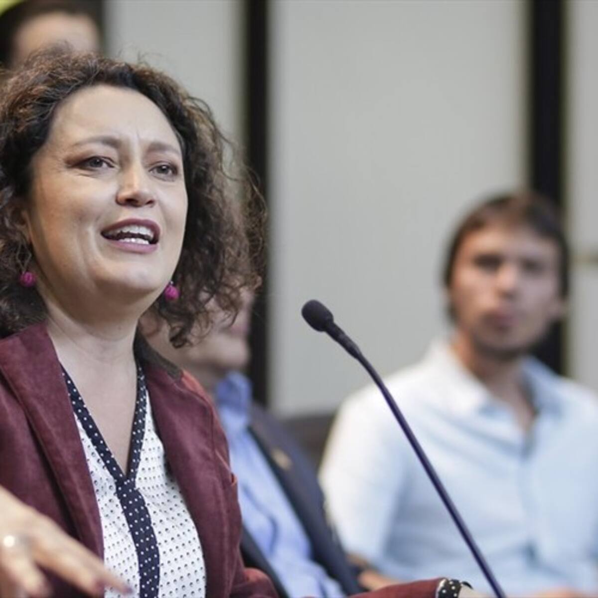 Quieren modificar la Constitución para permitir la coalición de las listas grandes: Lozano