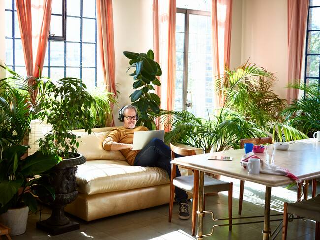 Hombre en casa con diferentes tipos de plantas, imagen de referencia // Getty Images