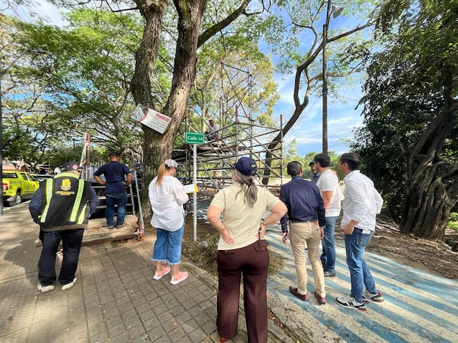 La subasta de palcos habría generado cerca de 950 millones de pesos.