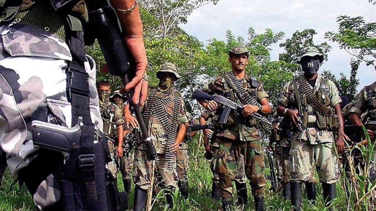 ¿Usted cree que se van a someter las bandas criminales en Colombia?