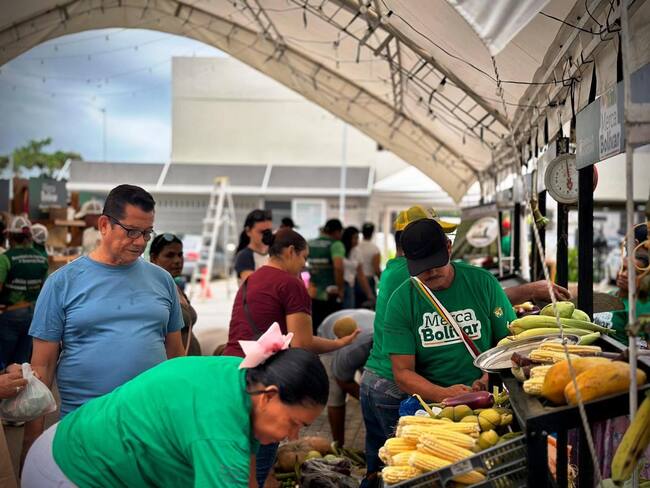 MercaBolívar en Parque Heredia: un festival de sabores y orgullo bolivarense