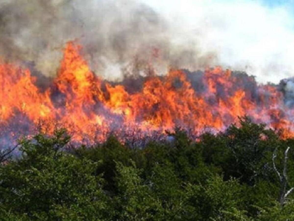 Alerta por incendios forestales en la Región Caribe