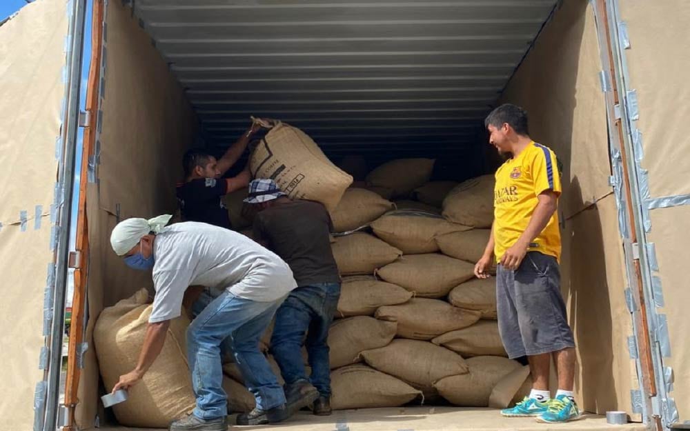 El café lidera ampliamente las exportaciones, seguido por la tilapia. Foto Relacionada.