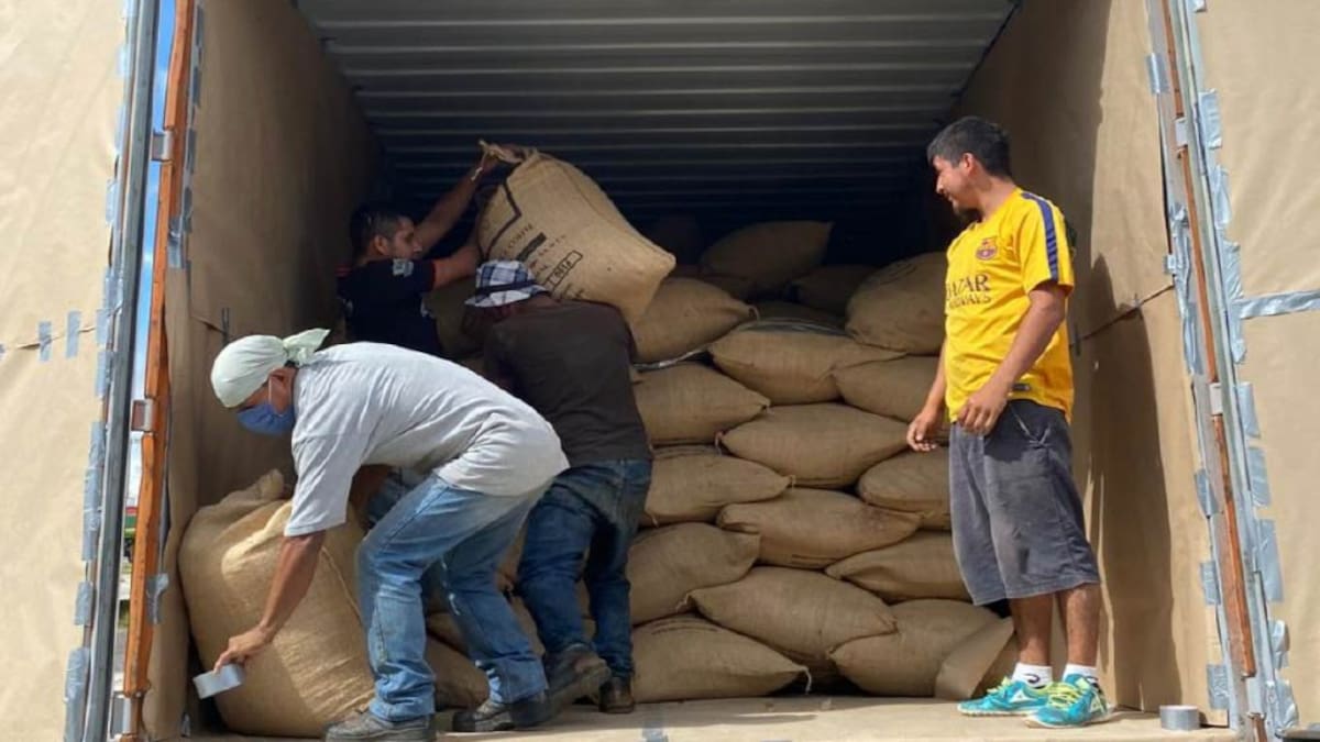 Exportaciones de café continúan con normalidad tras suspensión preventiva en Buenaventura