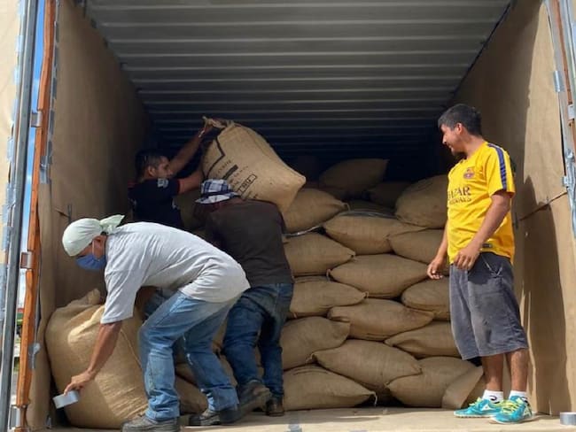 El café lidera ampliamente las exportaciones, seguido por la tilapia. Foto Relacionada.