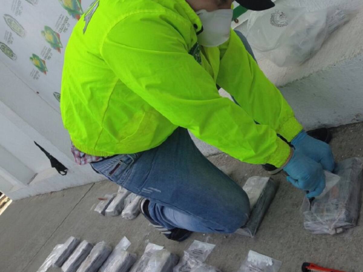 “Narcotráfico fortalece al ELN”: ONG Progresar