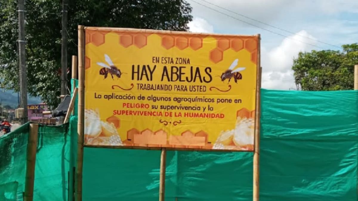 Informe Abejas, Quindío