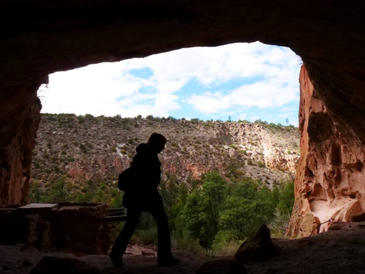 ¡Ya no hay excusas! Ir a parques o bosques a diario mejora la salud mental