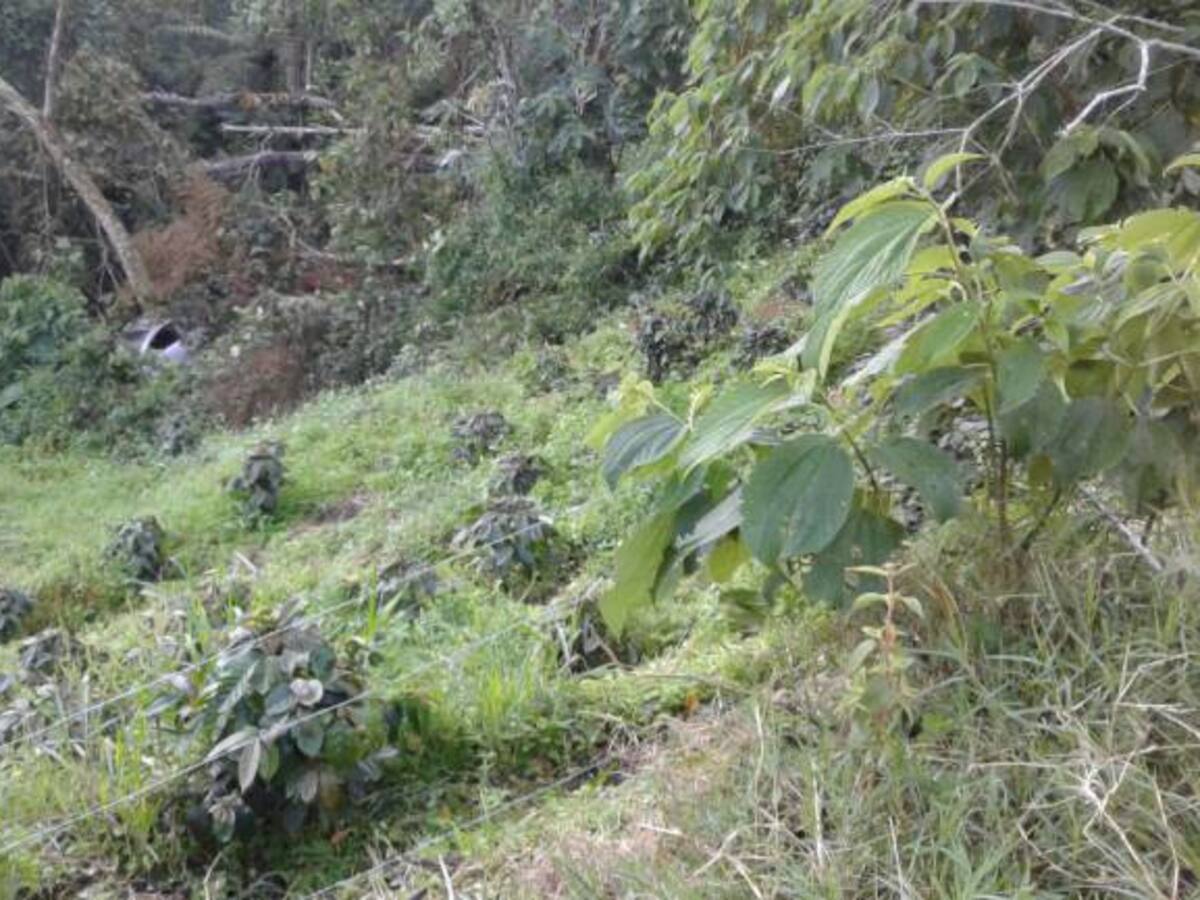 Un muerto y tres heridos al rodar a un abismo un campero