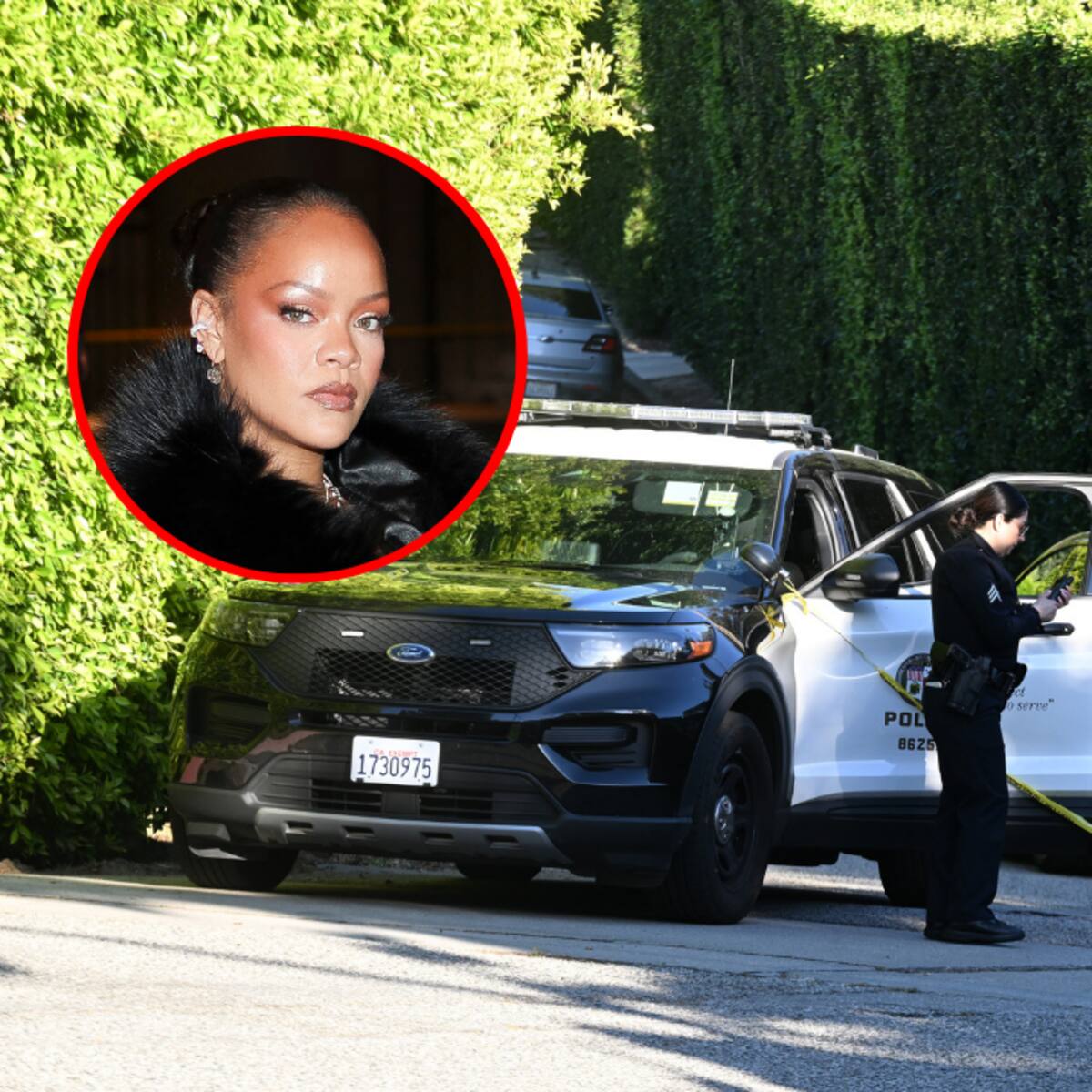 Sospechosa de disparar a la casa de Rihanna con rifle tipo AR-15 es acusada de 14 cargos