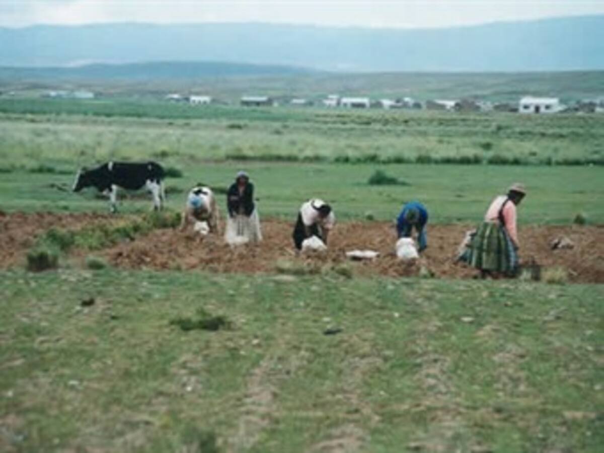 Gobierno pone en marcha programa de compra y dotación de tierras para campesinos