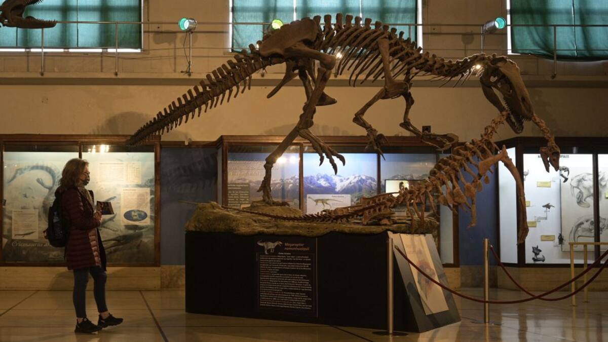 Así es el Megaraptor carnivoro hallado en Argentina