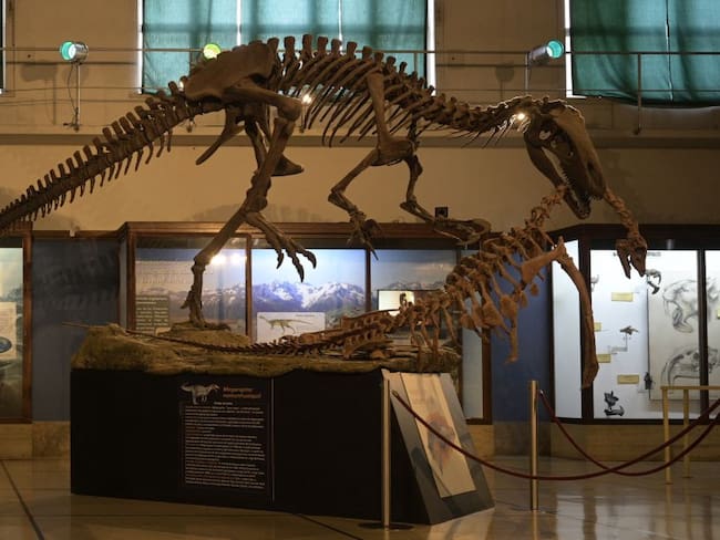 Así es el Megaraptor carnivoro hallado en Argentina