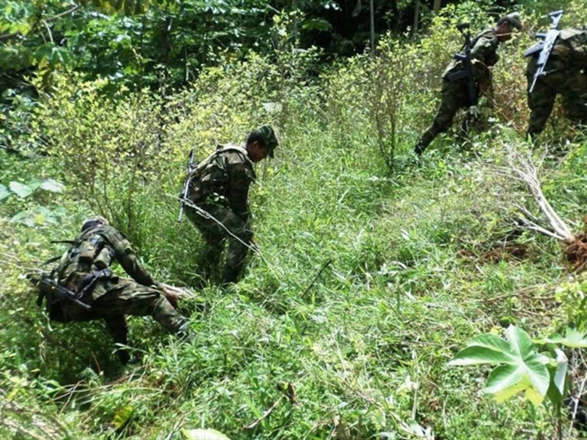 La operatividad de la fuerza pública en El Charco, Nariño, es casi nula: Héctor Carvajal