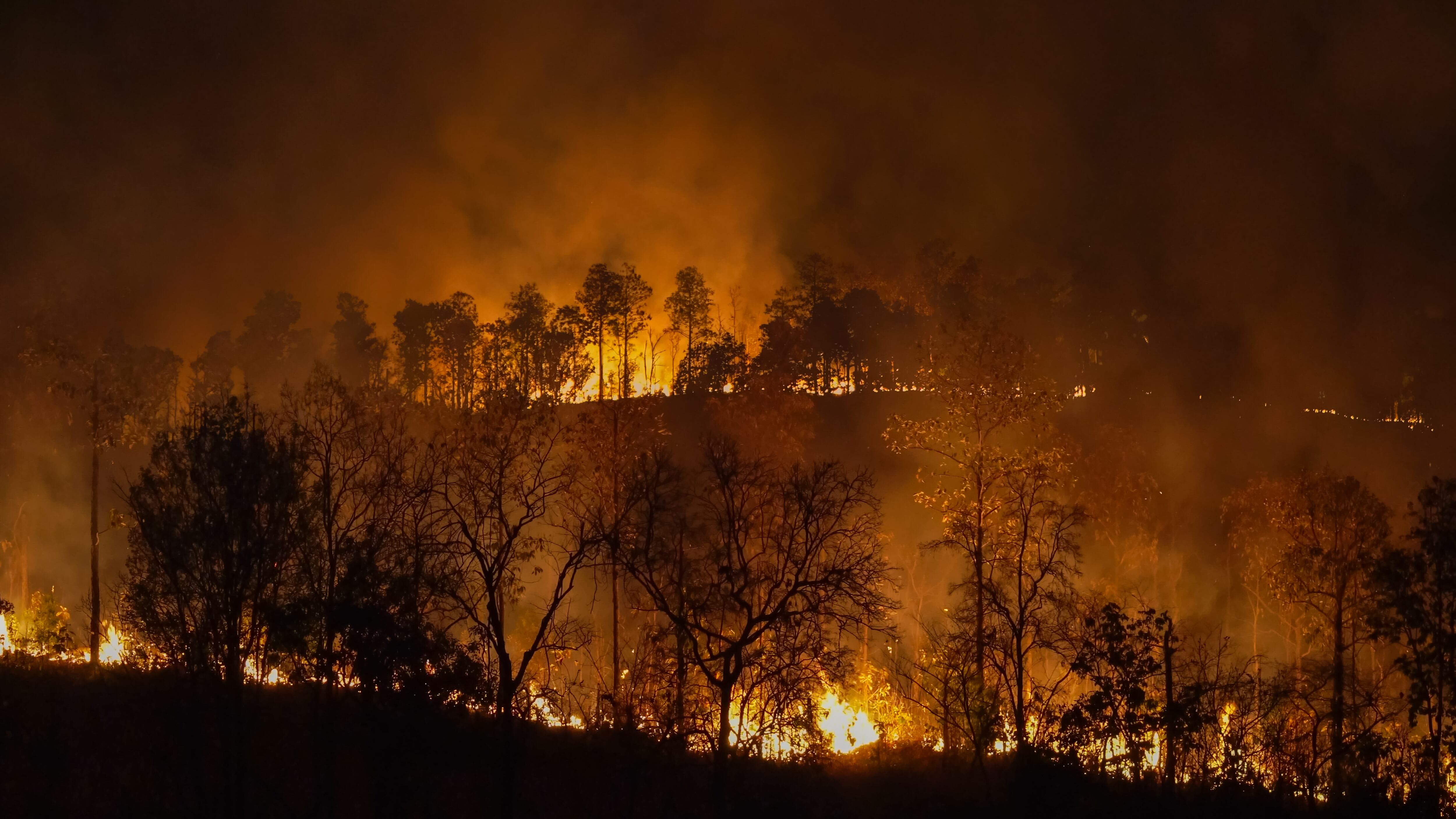 cambio climatico/ cortesica:Gettyimagenes
