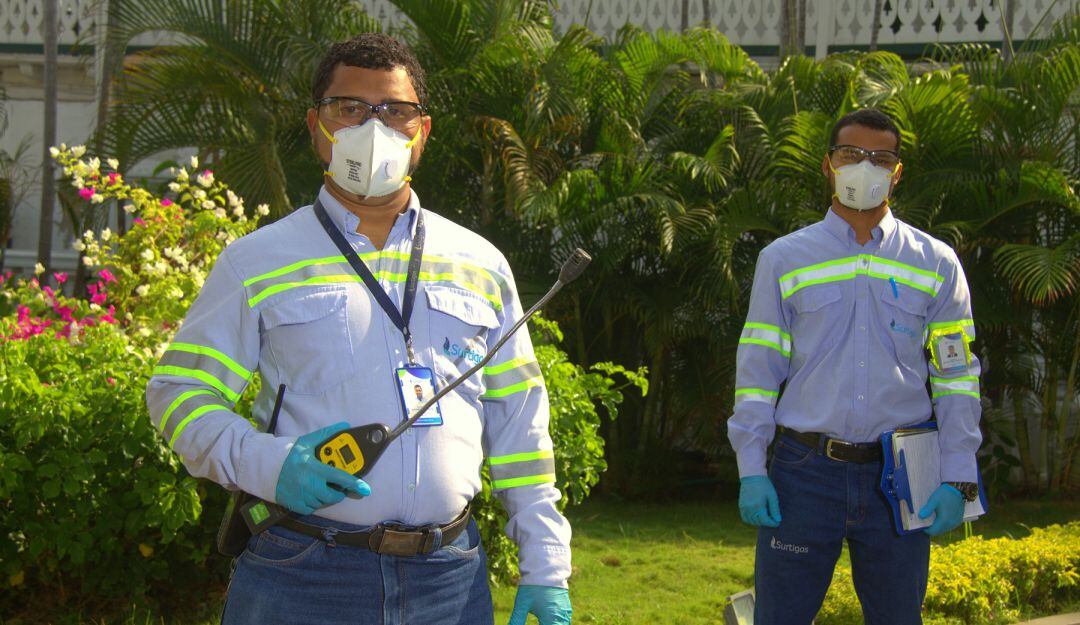 Revisiones periódicas