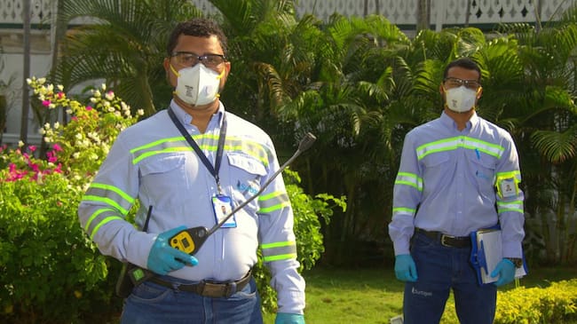 Revisiones periódicas