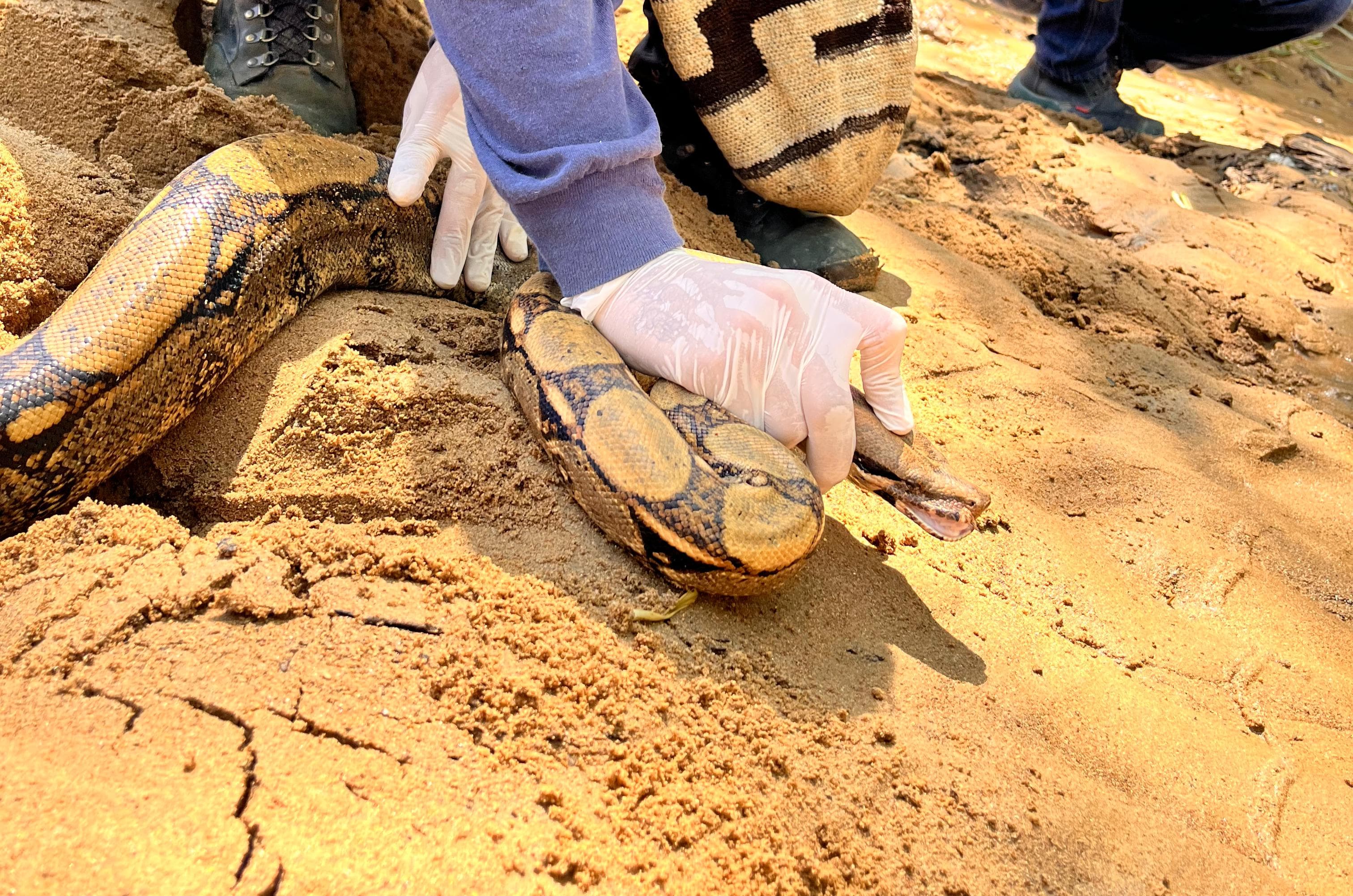 Foto: Cortesía Corantioquia.
