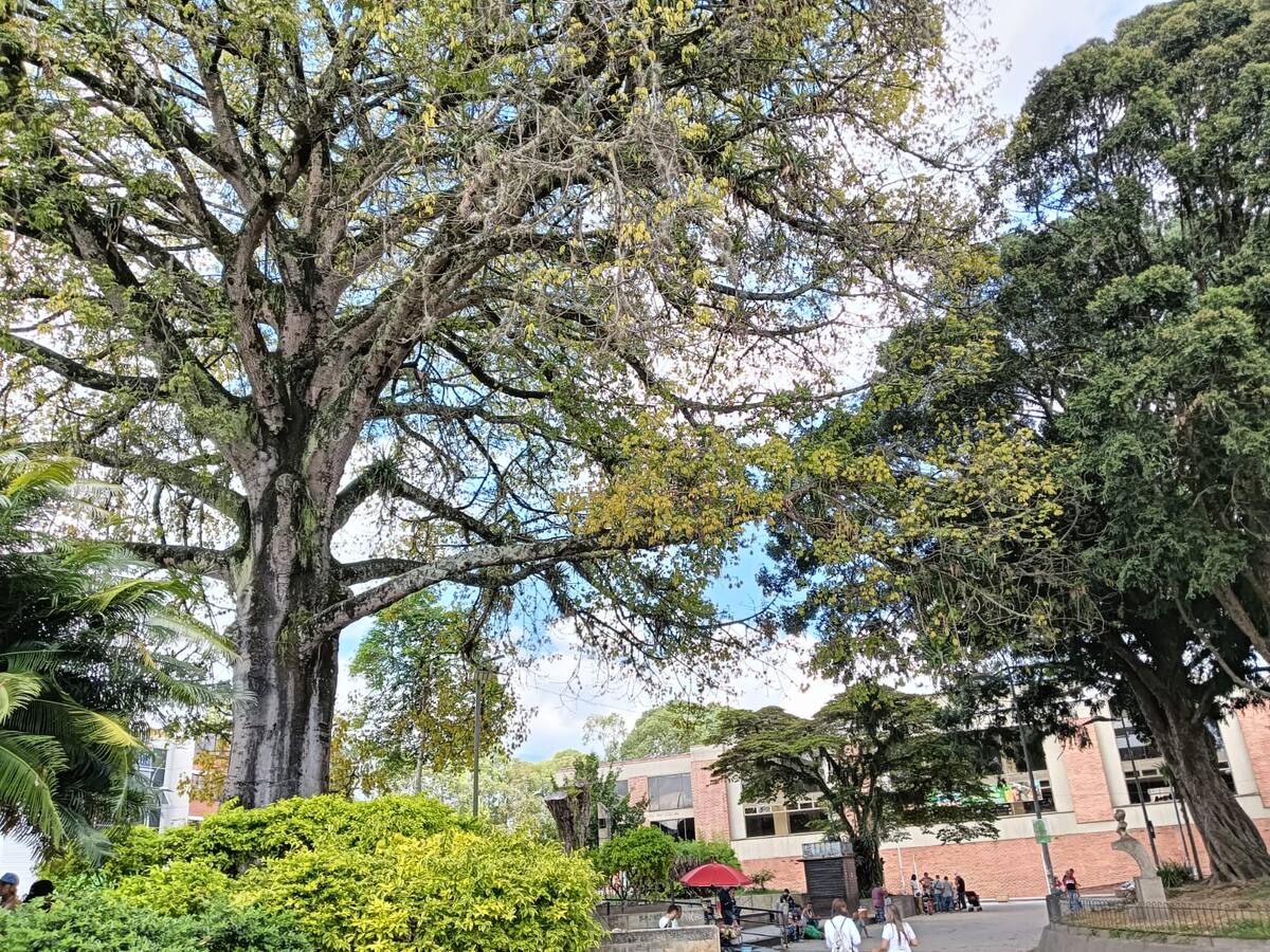 Jueves 1 de agosto, las noticias más importantes de Armenia y Quindío