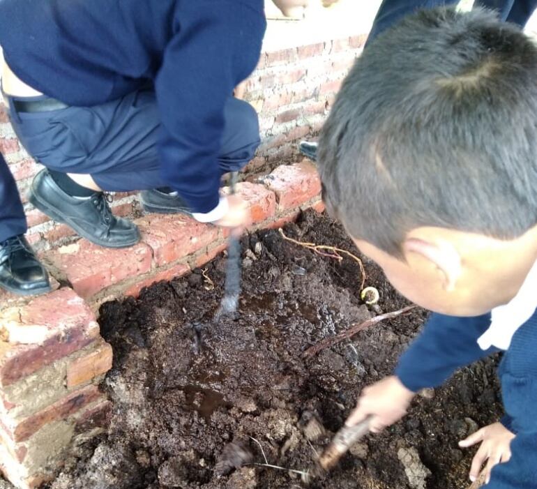 Niños de Toca, Boyacá