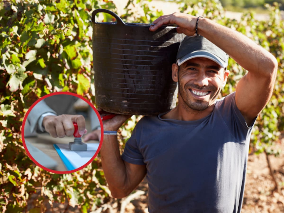 ¿De qué se trata CampeSENA? Así puede certificarse gratis y estos son sus beneficios