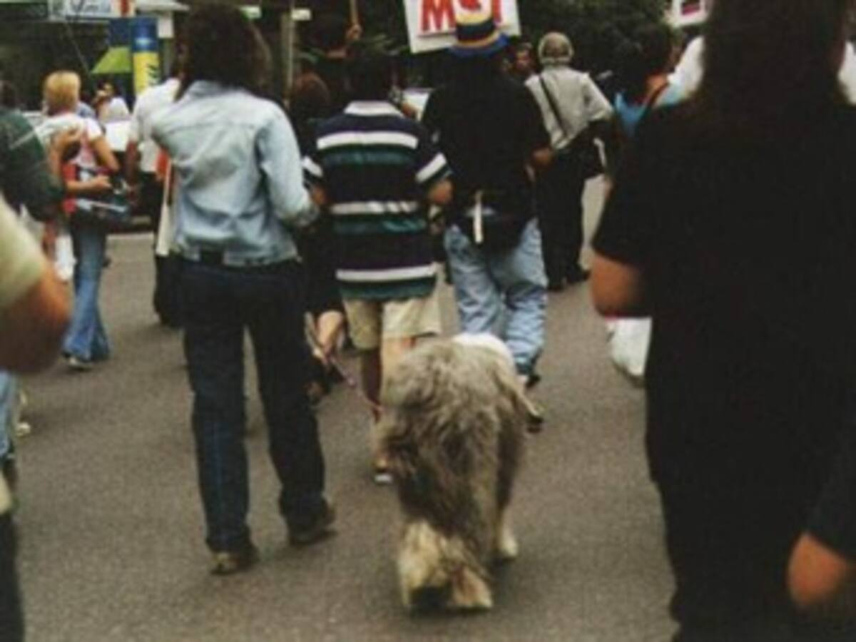 Marcha mundial por los derechos de los animales